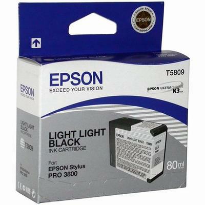 Чернильный картридж EPSON для Stylus PRO 3800, Light Black