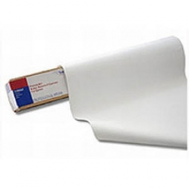 Холст Epson PremierArt Water Resistant Canvas 432мм (17"),350г/м2, 13 м